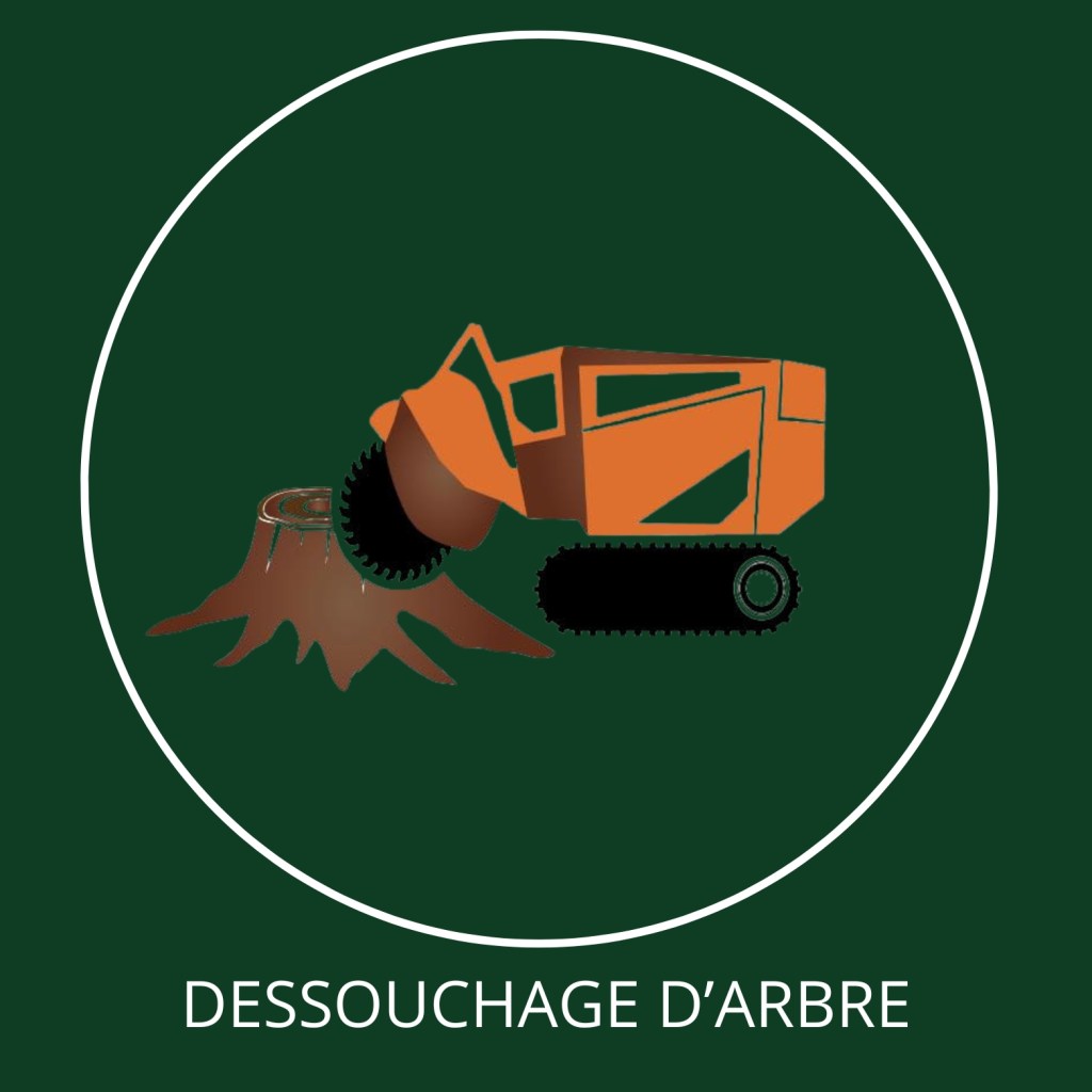 Dessouchage d'arbre