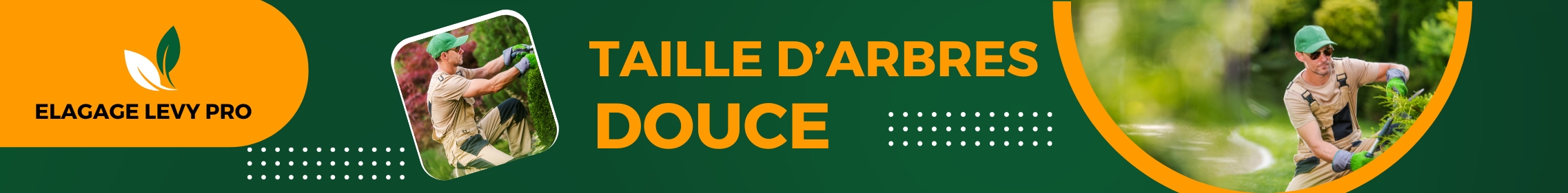 Taille douce d'arbre par Elagage LevyPro à Marignane