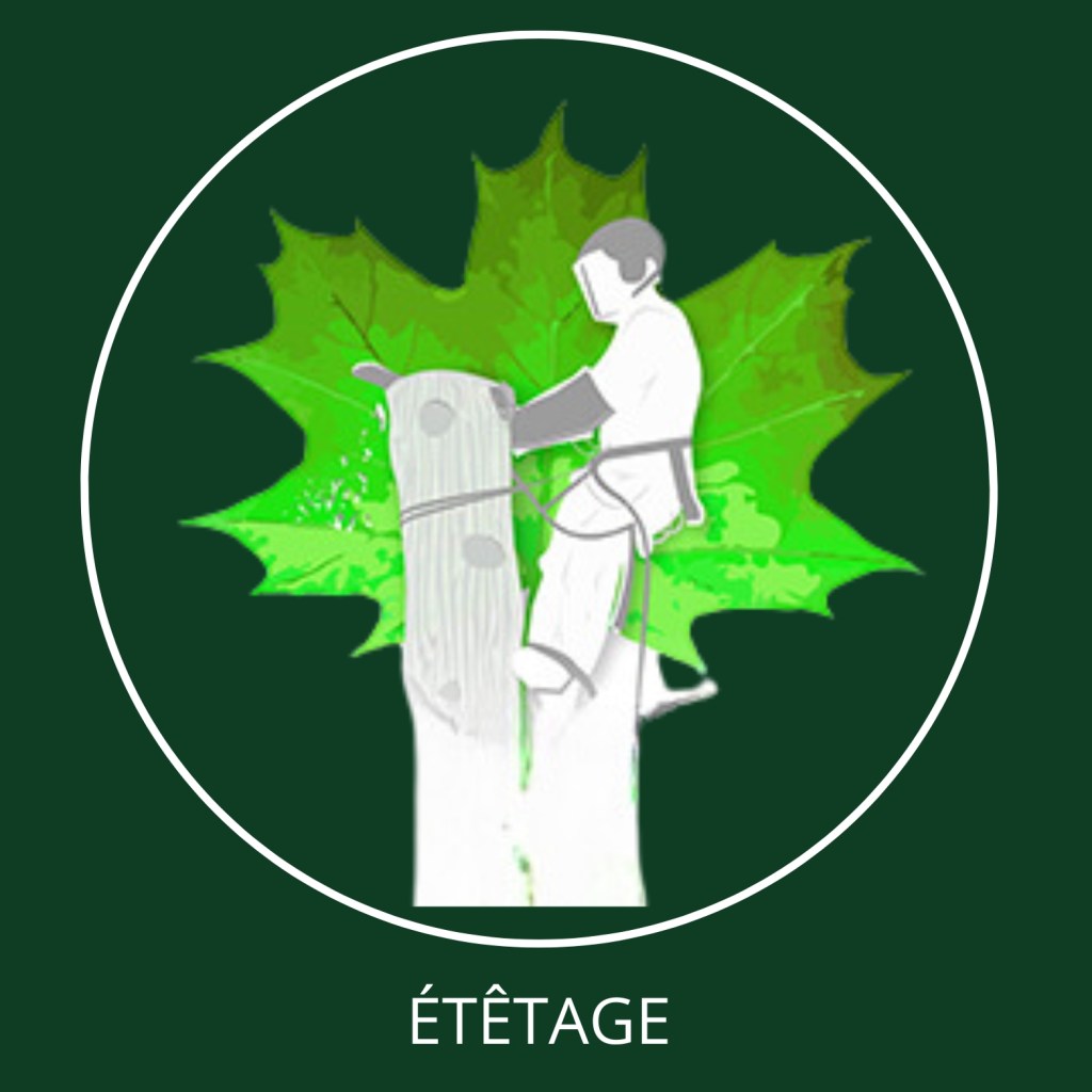 Étêtage