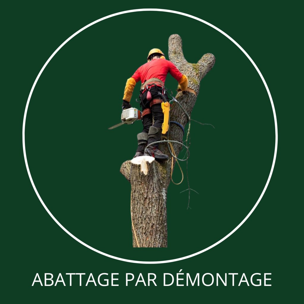 Abattage par démontage