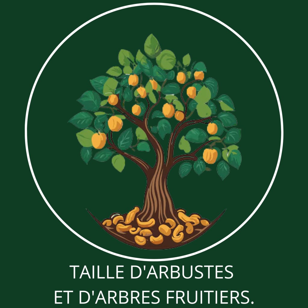 Taille d'Arbustes et Taille d'Arbres fruitiers