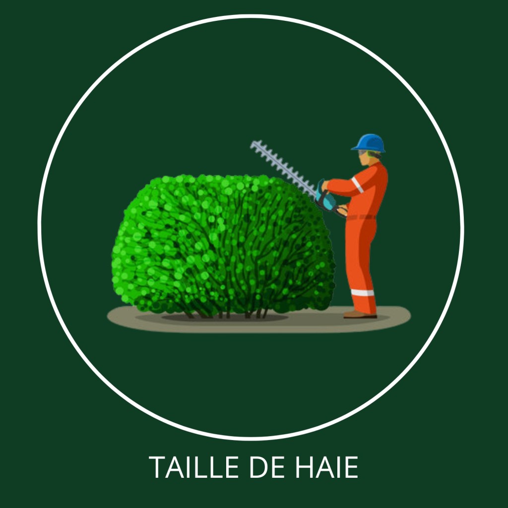 Taille de Haie