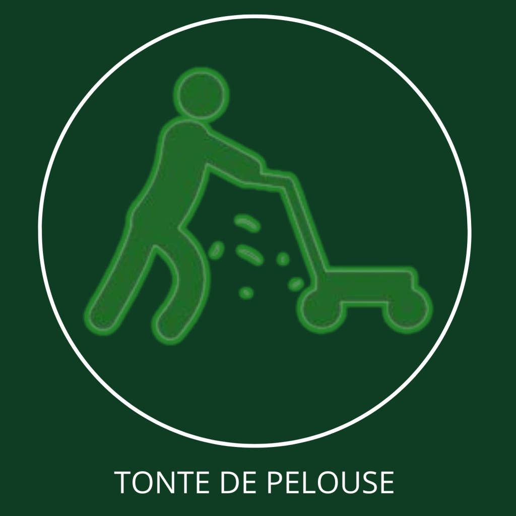 Tonte de Pelouse