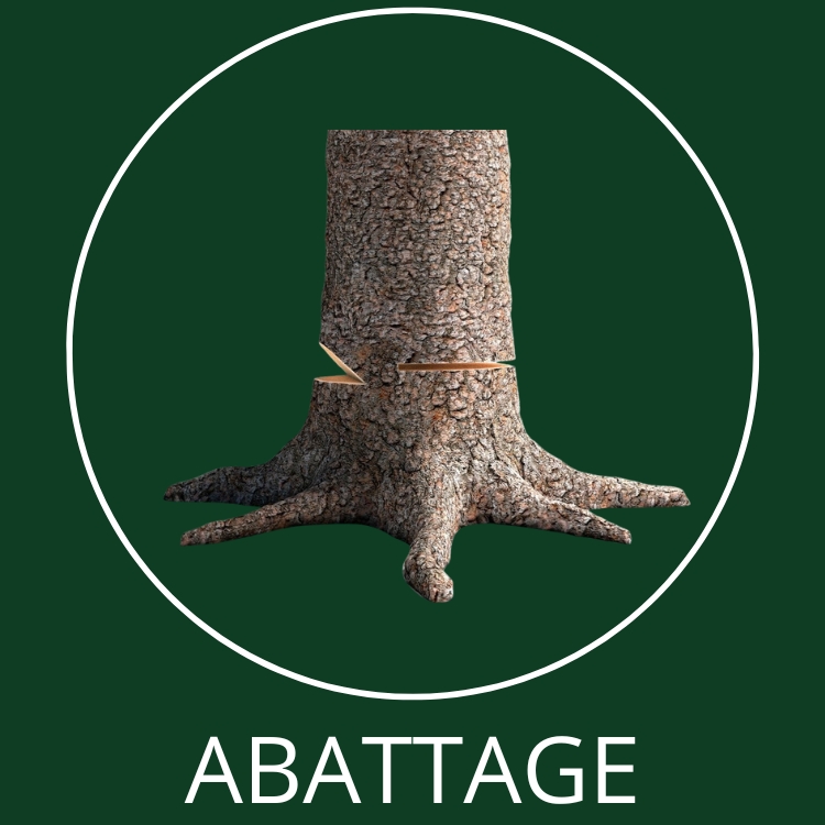 Abattage