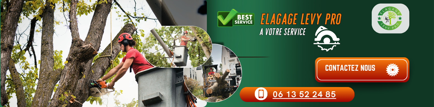 Elagage à Vitrolles